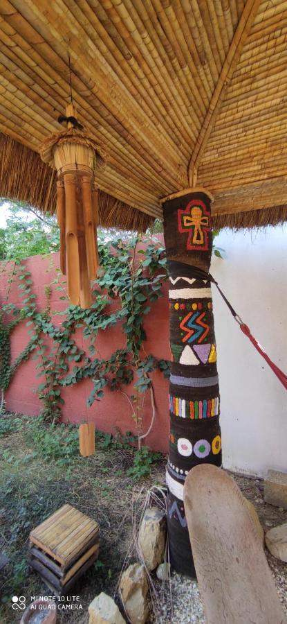 Zion - Lily'S Paradise Toubab Dialaw Exterior foto